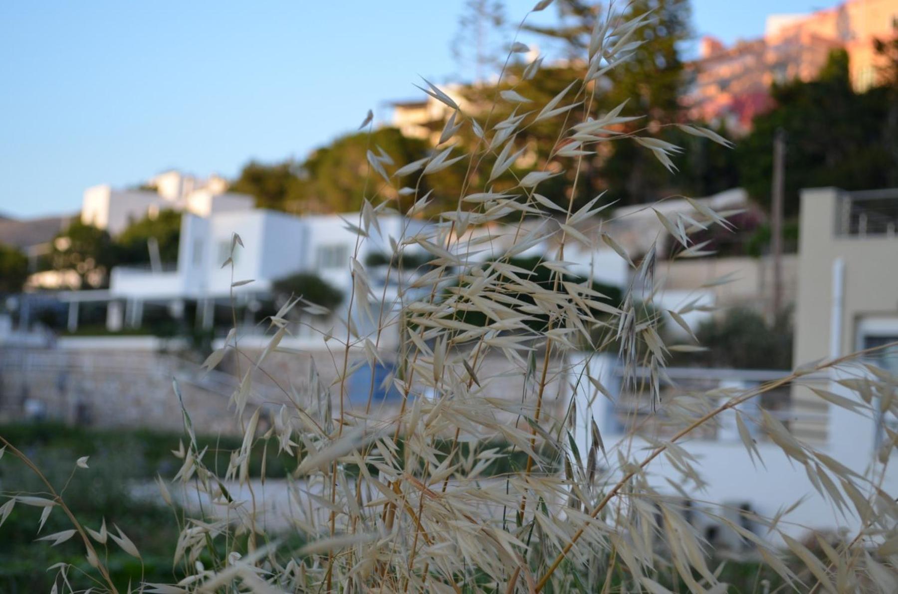 White Lotus Seaside Apartment Kini Exterior foto